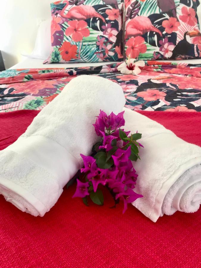 Appartement Prive Eco-Responsable, Vue Sur La Mer Des Caraibes Et Jardin Clos, Wifi, A 2Mn De La Plage サント・リュス エクステリア 写真