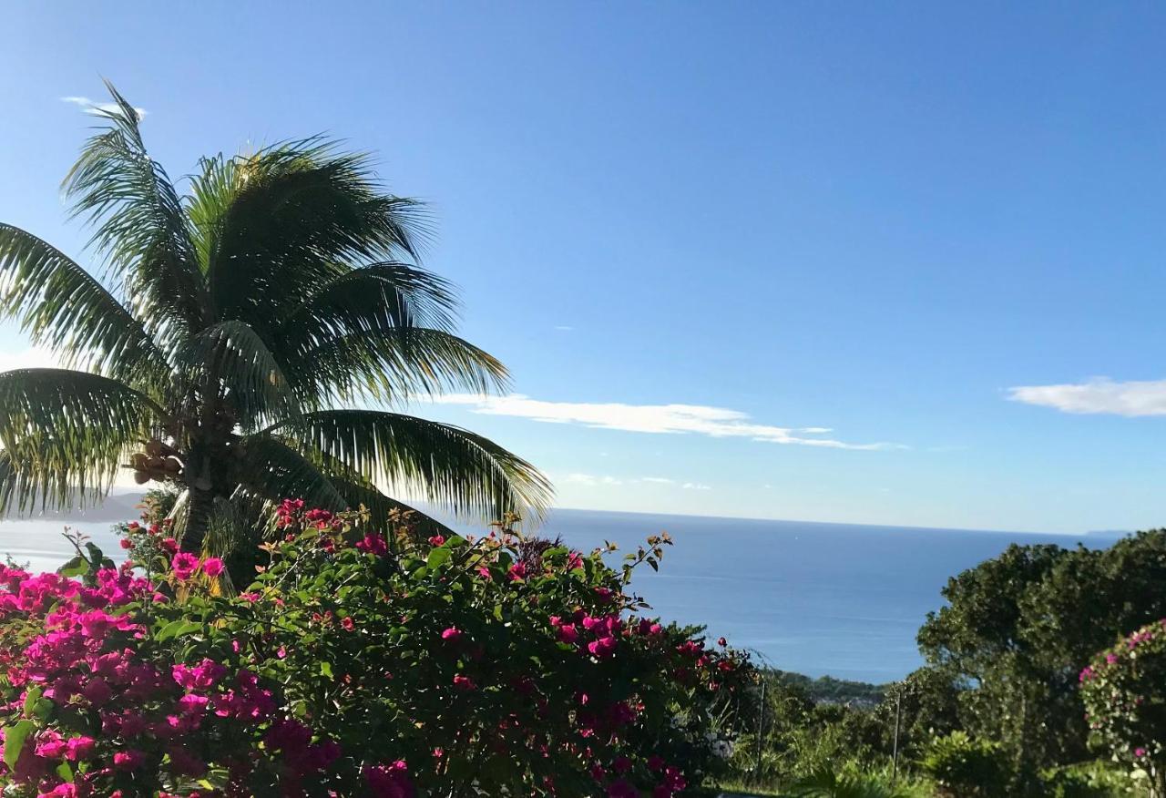 Appartement Prive Eco-Responsable, Vue Sur La Mer Des Caraibes Et Jardin Clos, Wifi, A 2Mn De La Plage サント・リュス エクステリア 写真