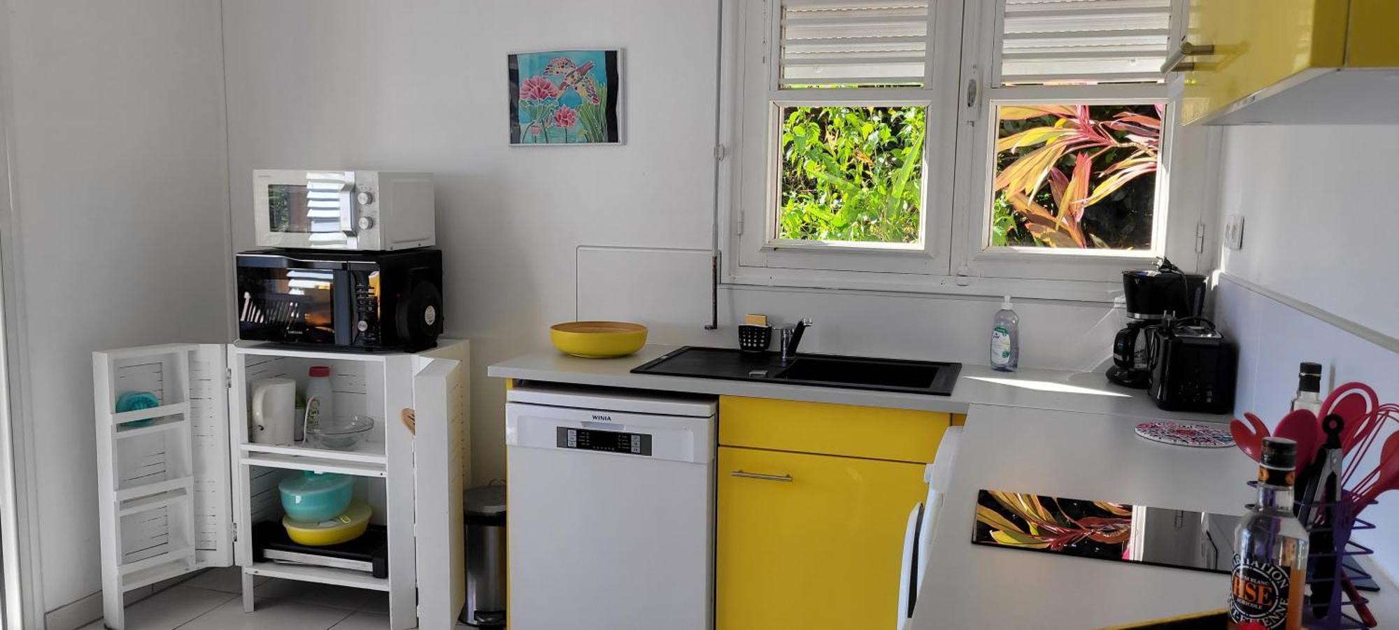 Appartement Prive Eco-Responsable, Vue Sur La Mer Des Caraibes Et Jardin Clos, Wifi, A 2Mn De La Plage サント・リュス エクステリア 写真